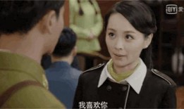 电视剧密查在线观看,揭秘暗流涌动的谍影世界